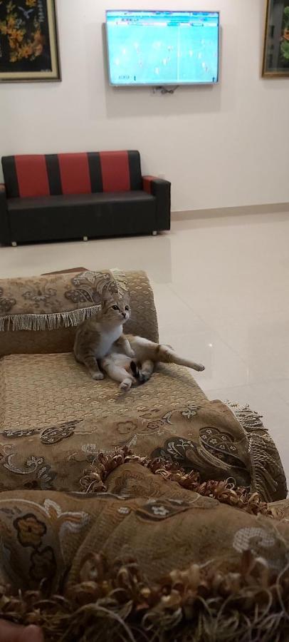 Duy Hotel ダラット エクステリア 写真